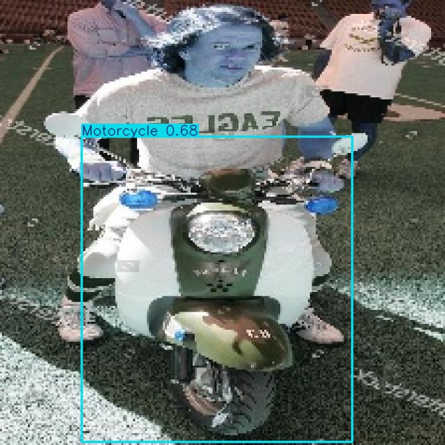 Annotated Image
