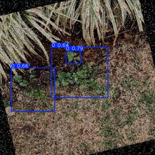 Annotated Image