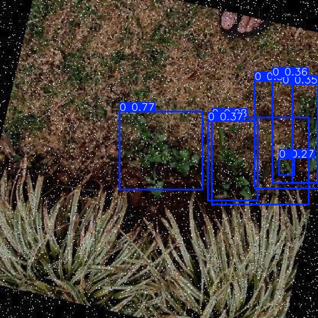 Annotated Image