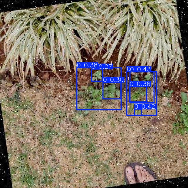 Annotated Image