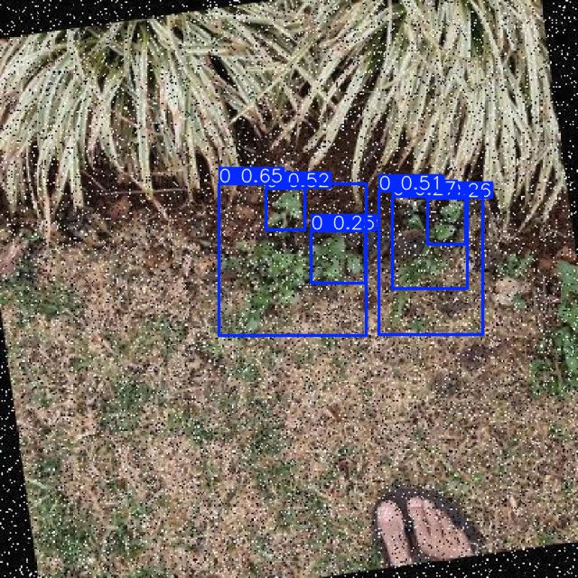 Annotated Image