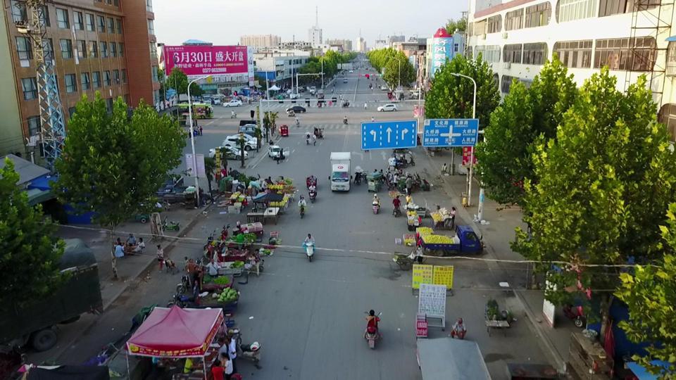 Annotated Image