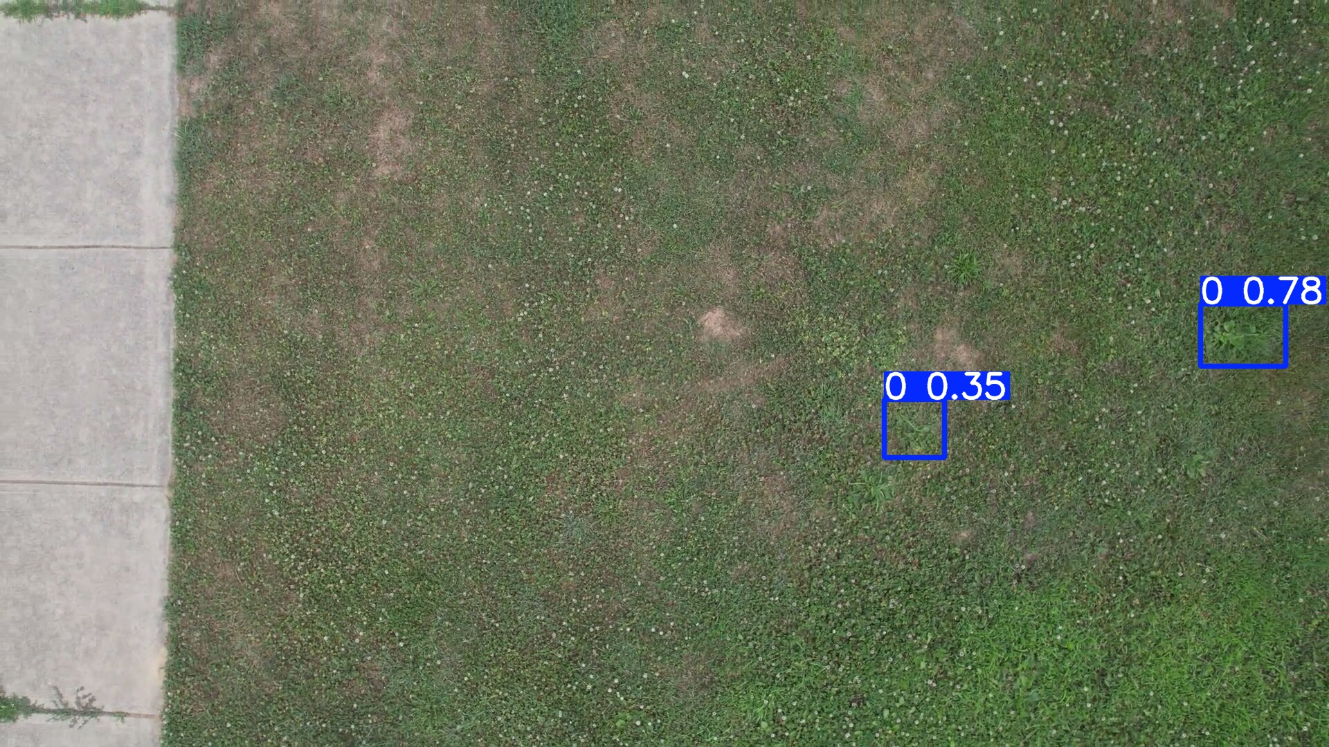 Annotated Image