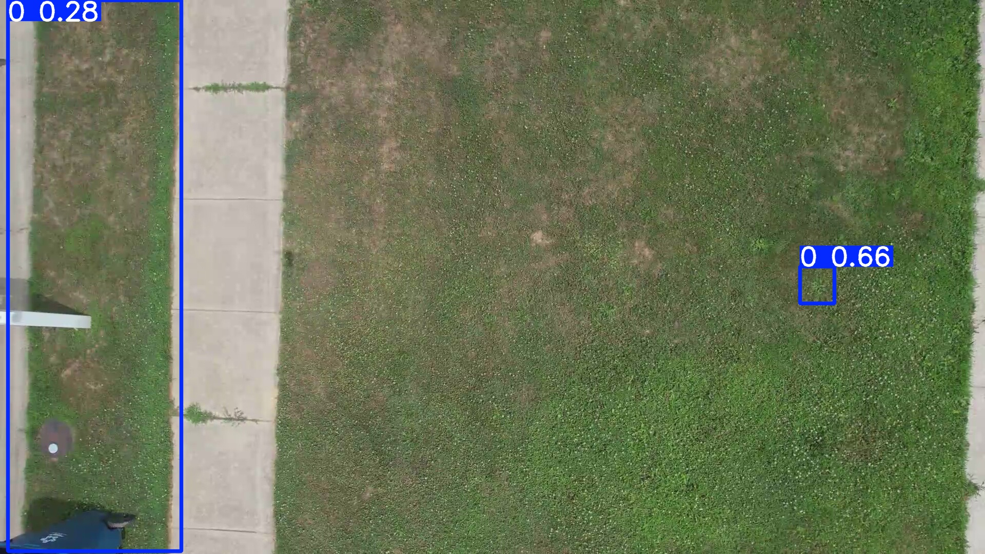 Annotated Image