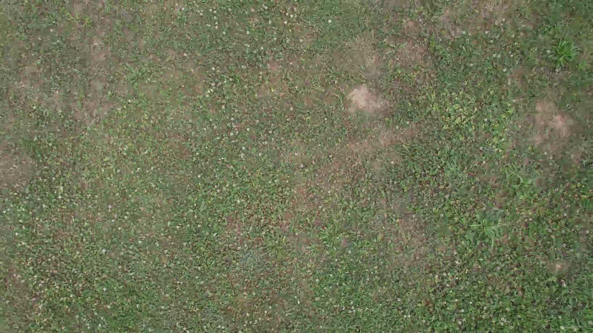 Annotated Image