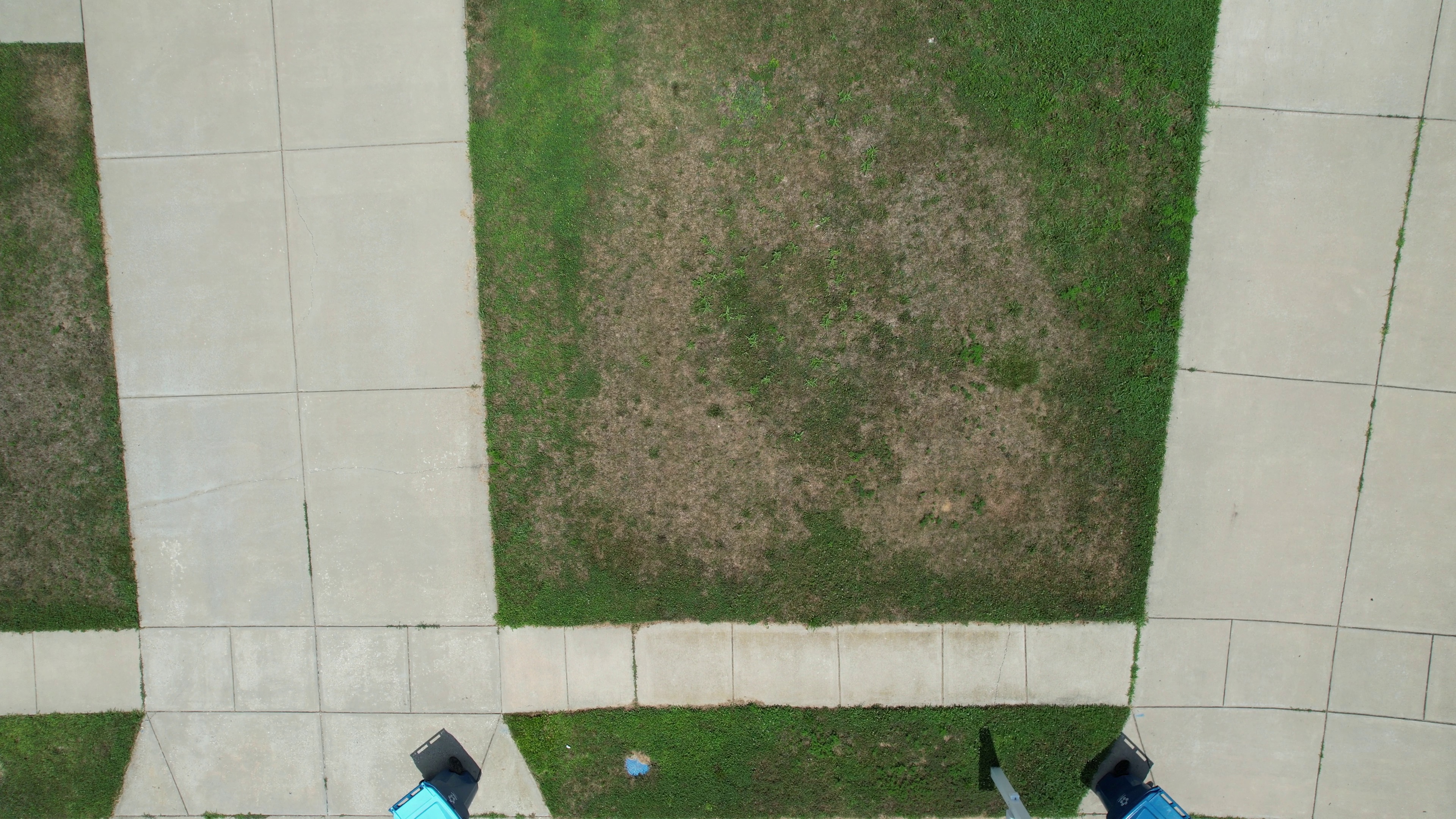 Annotated Image