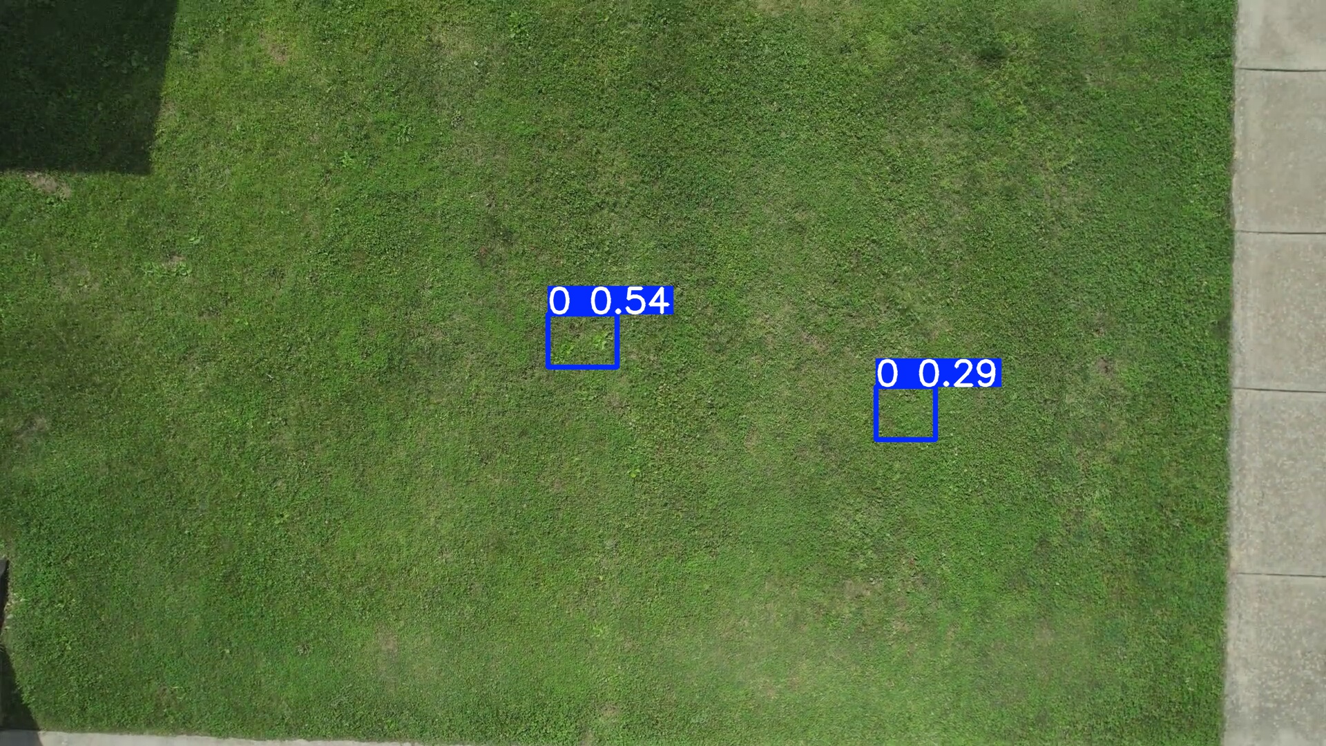 Annotated Image
