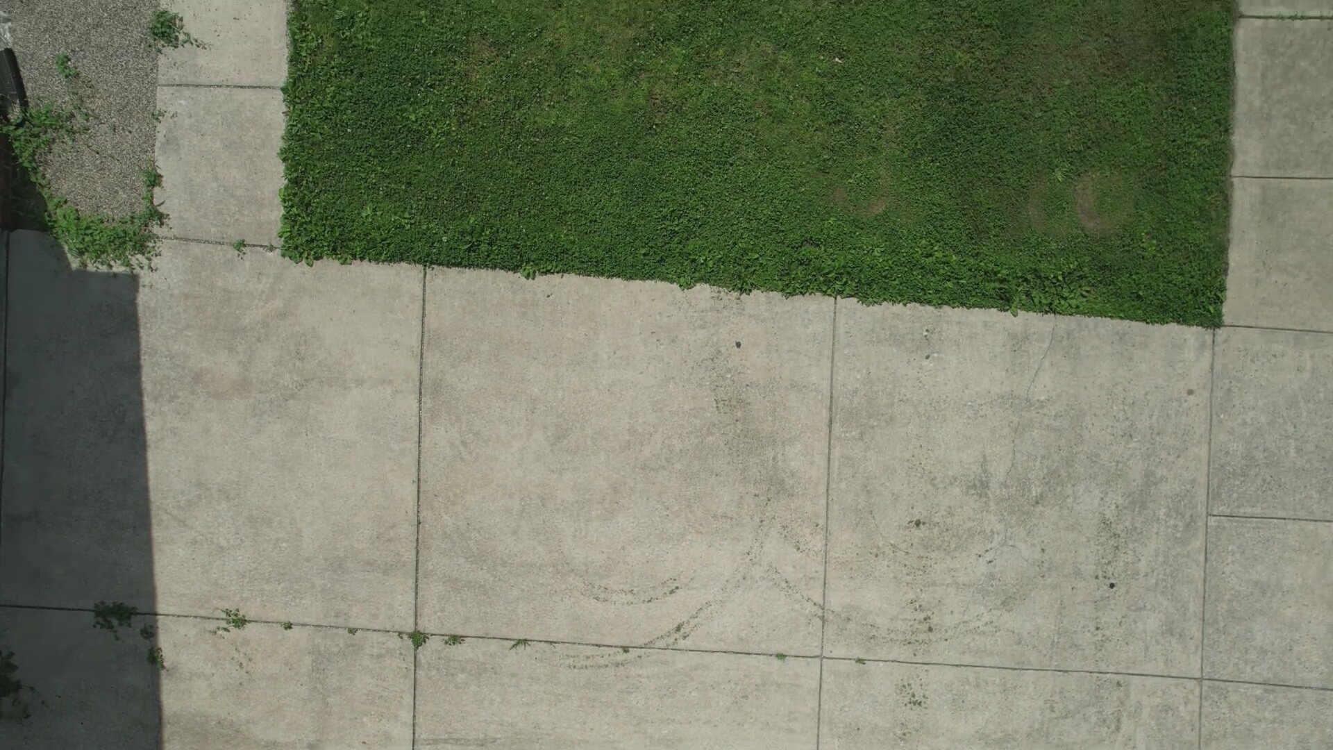 Annotated Image