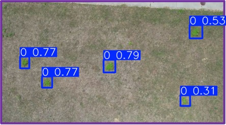Annotated Image