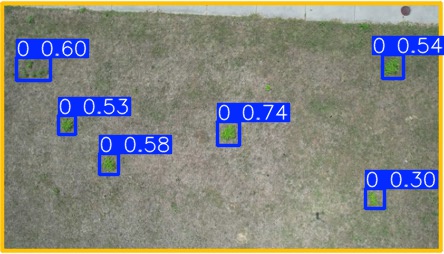 Annotated Image