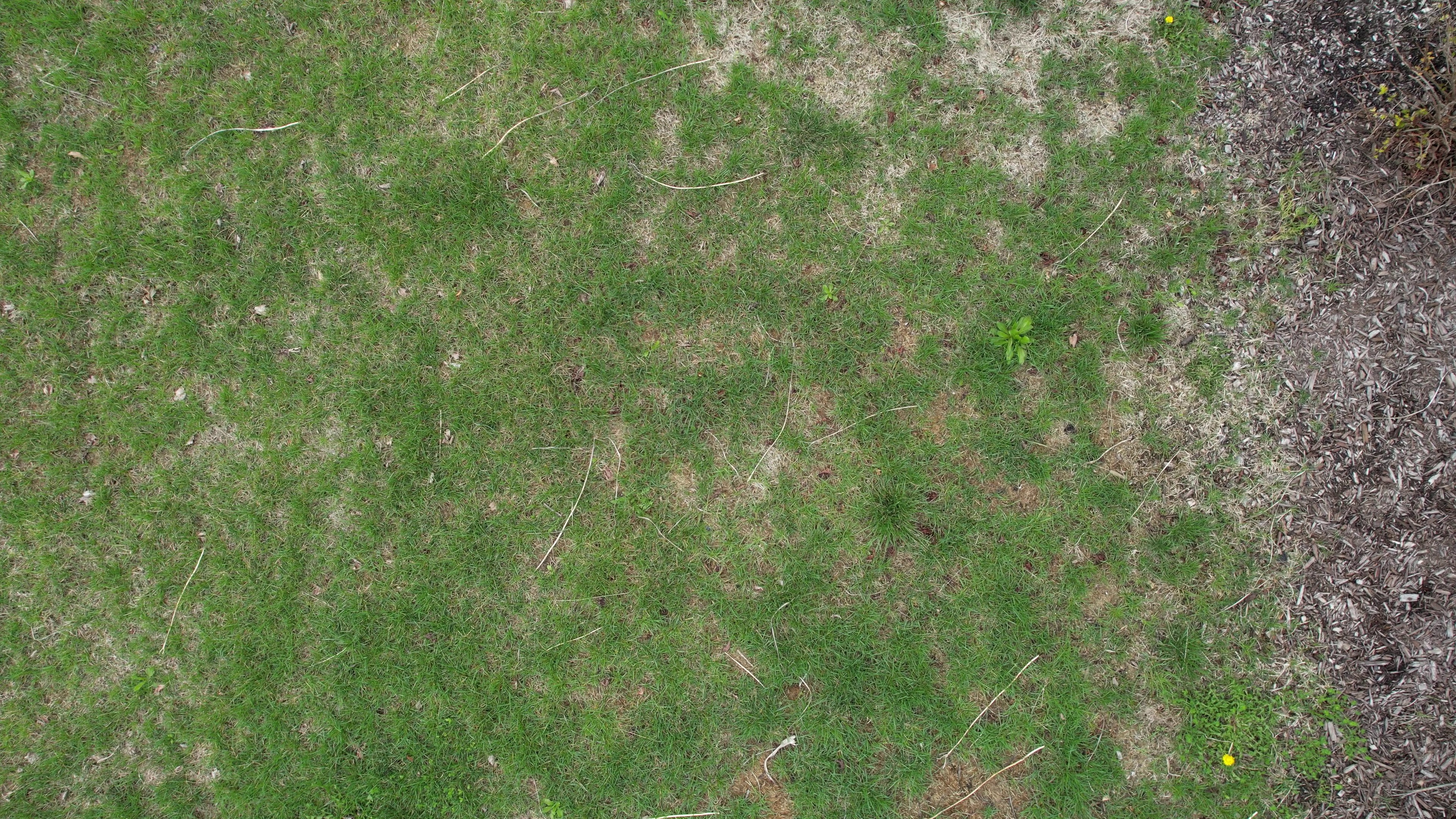 Annotated Image