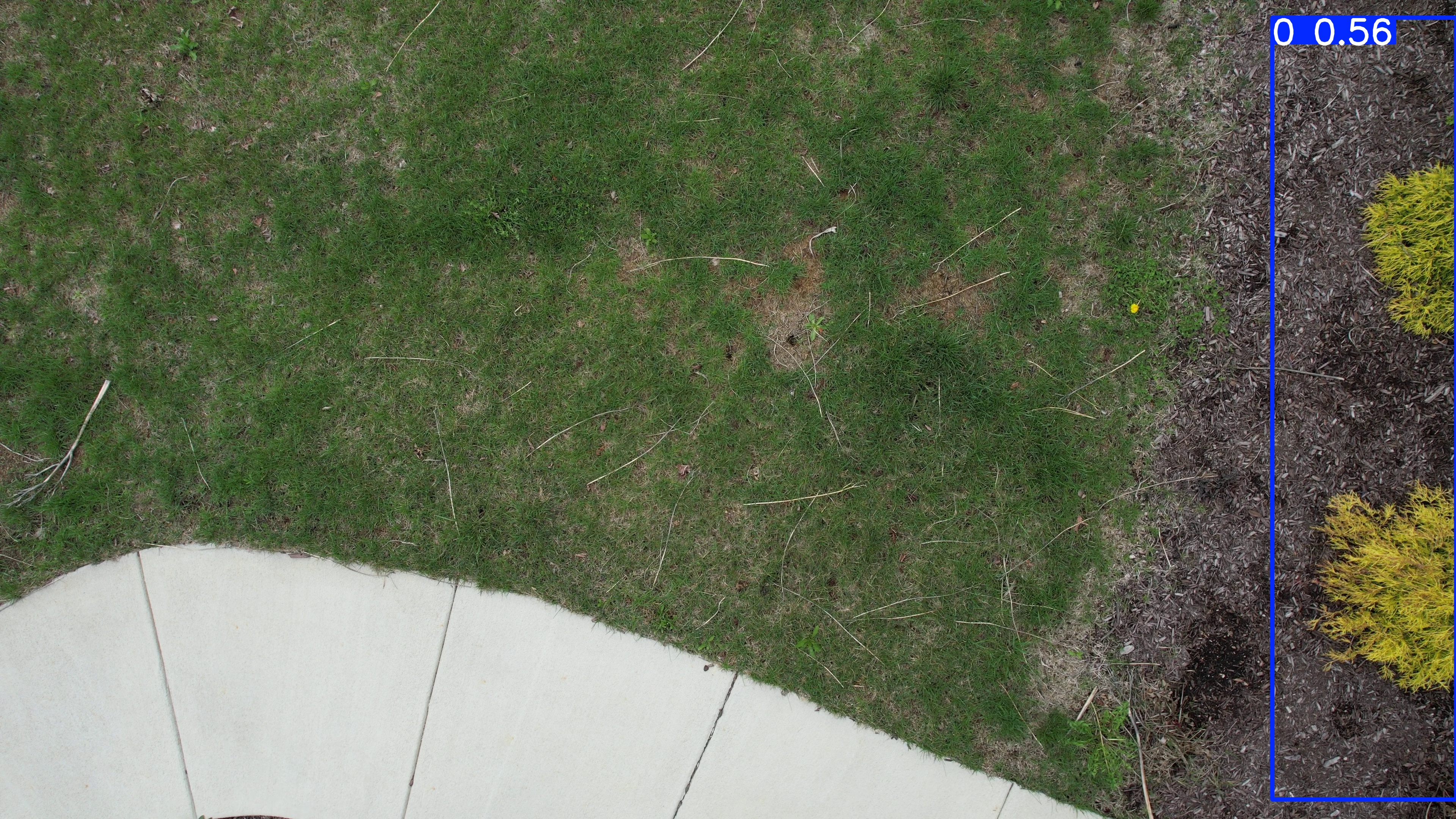 Annotated Image