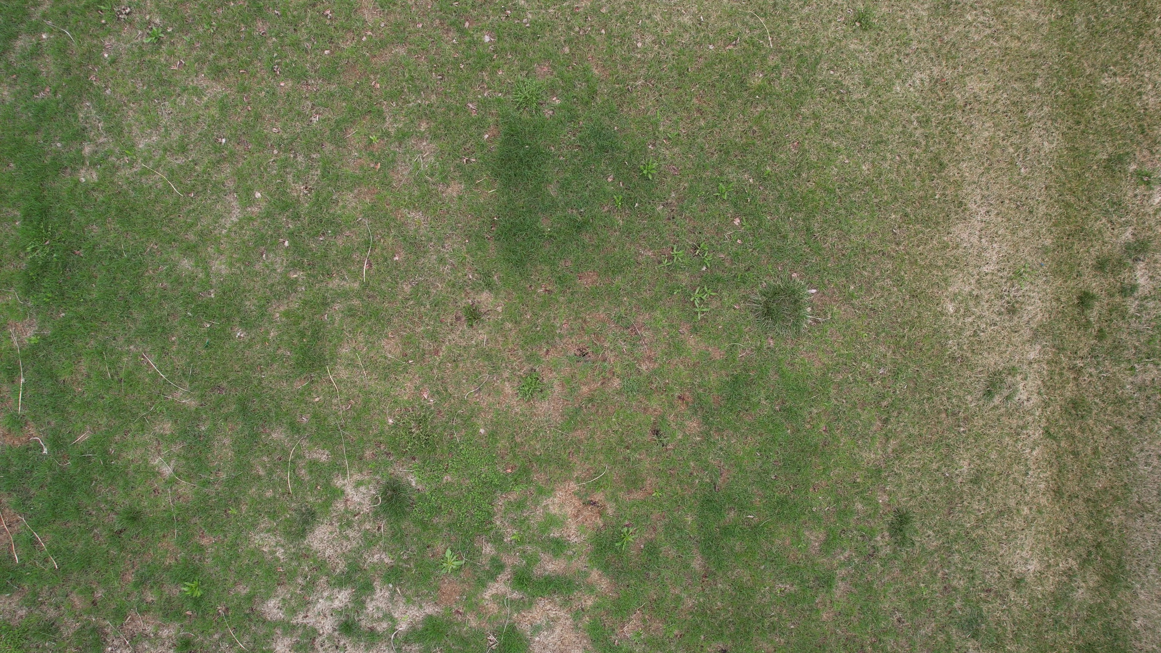 Annotated Image