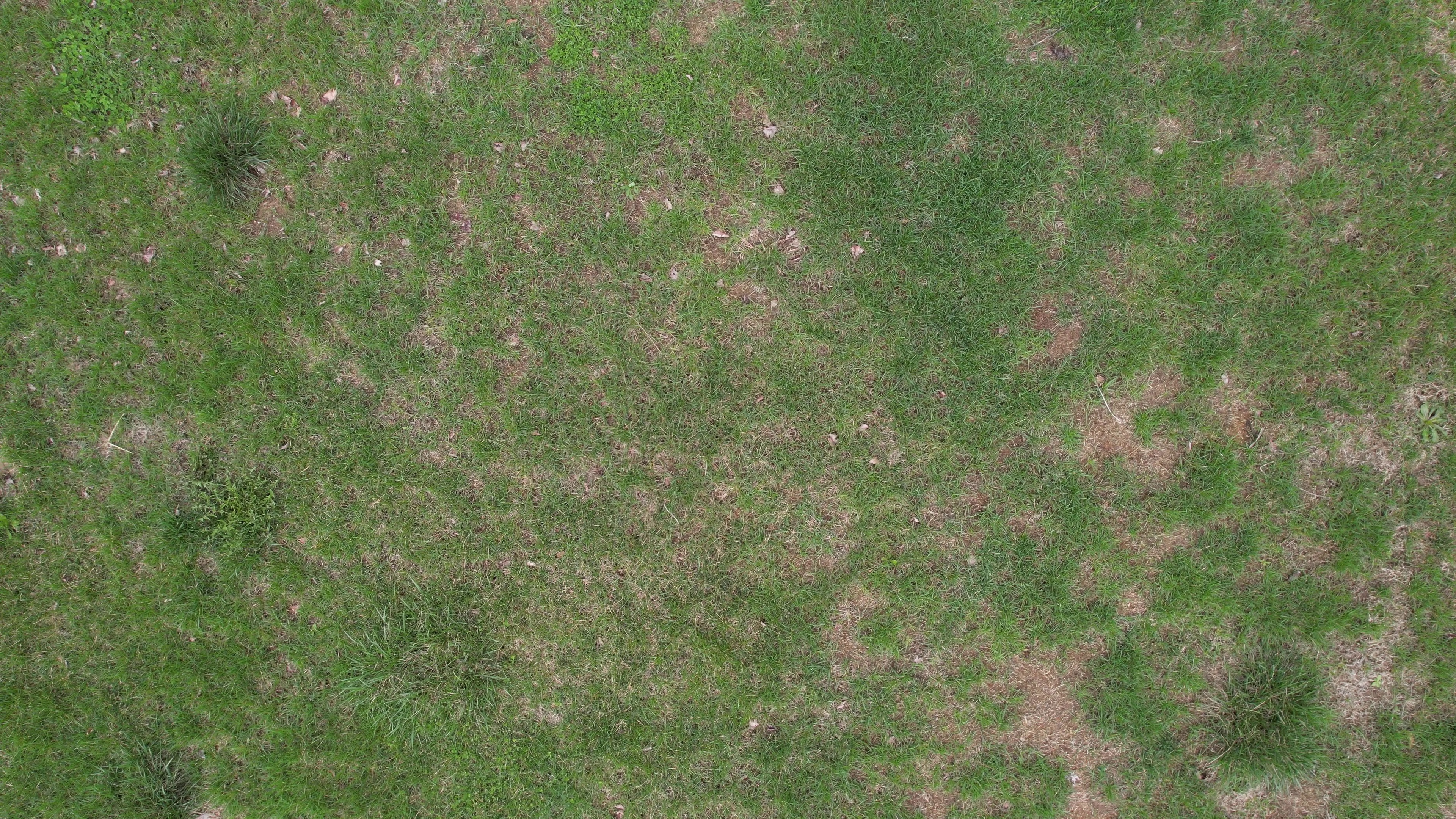 Annotated Image