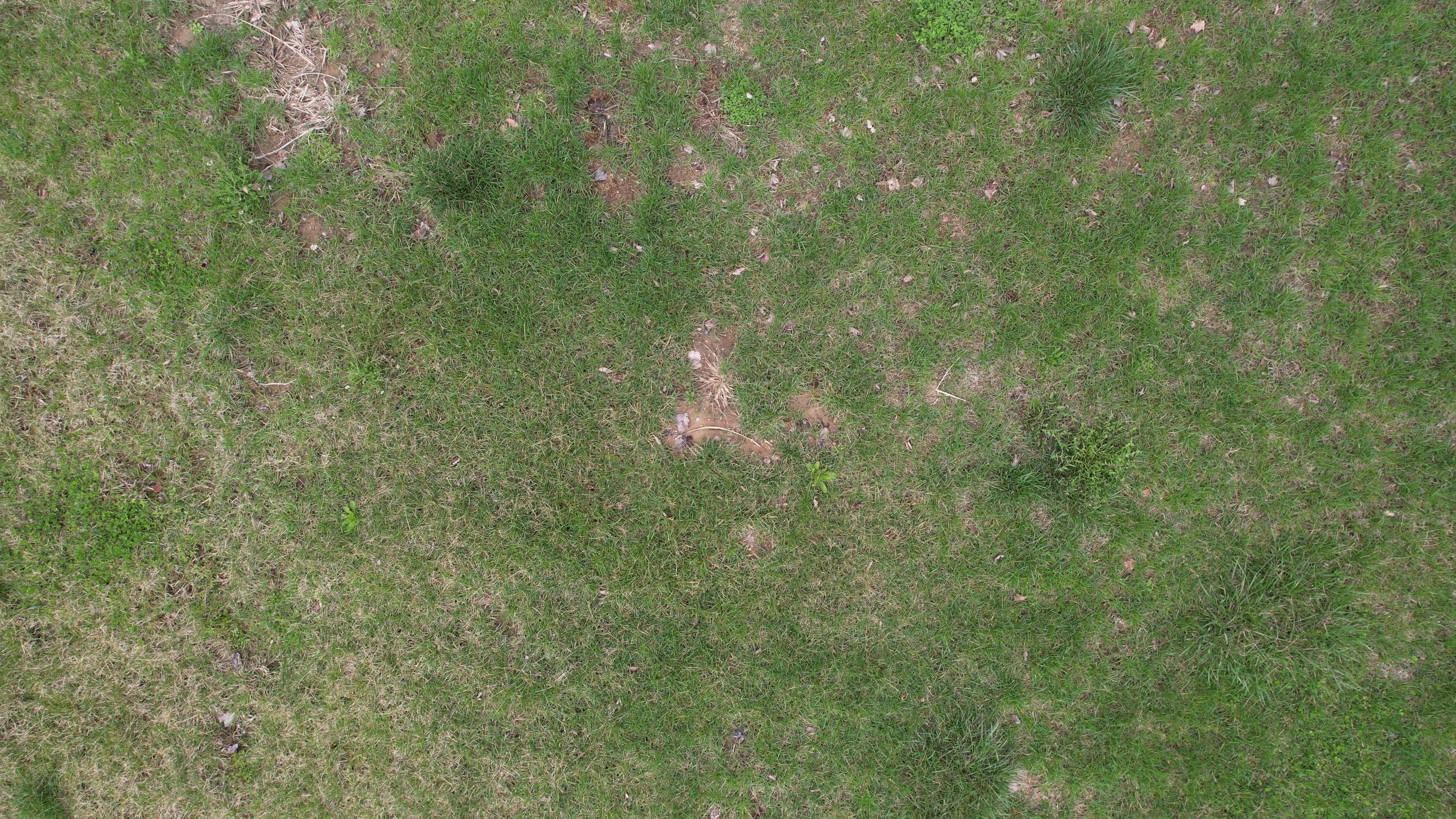 Annotated Image