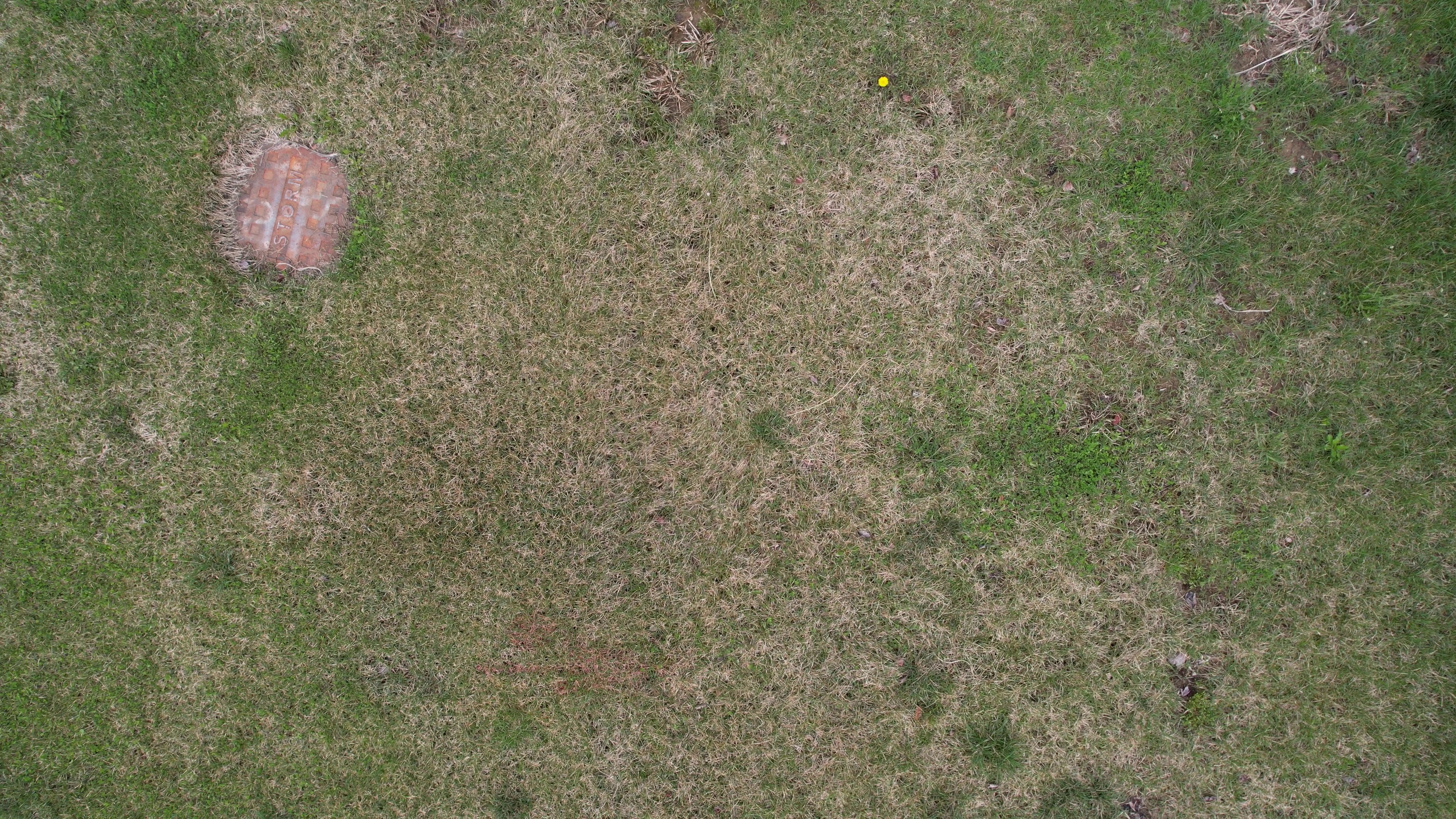 Annotated Image