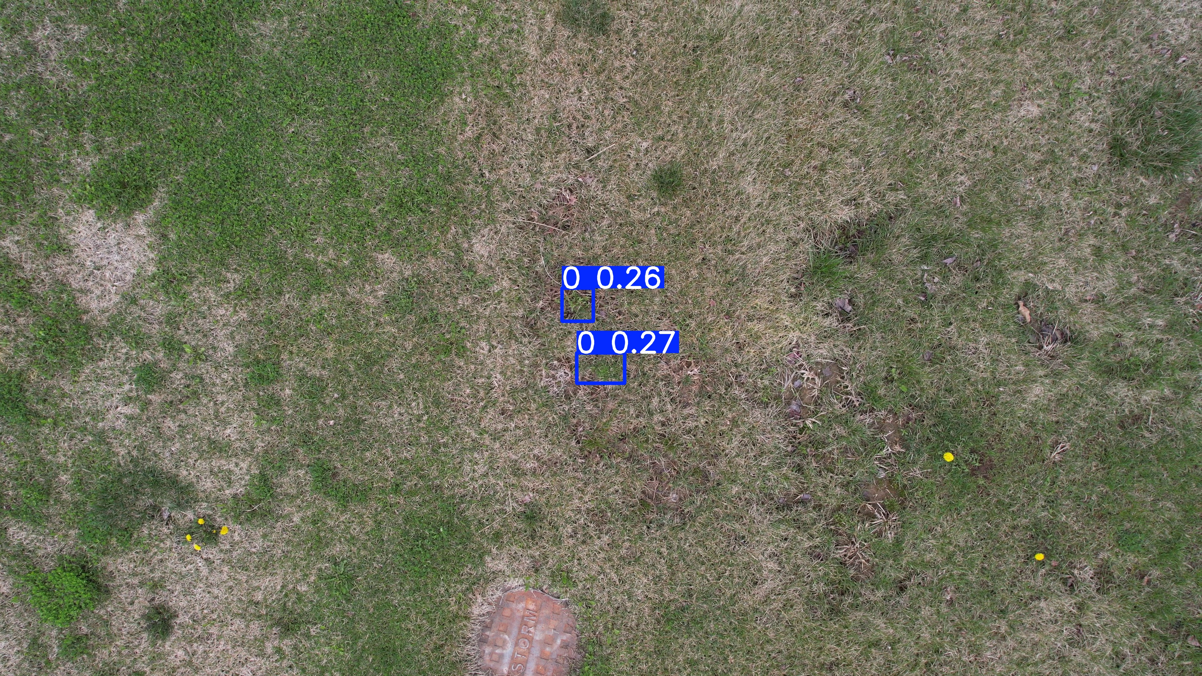 Annotated Image