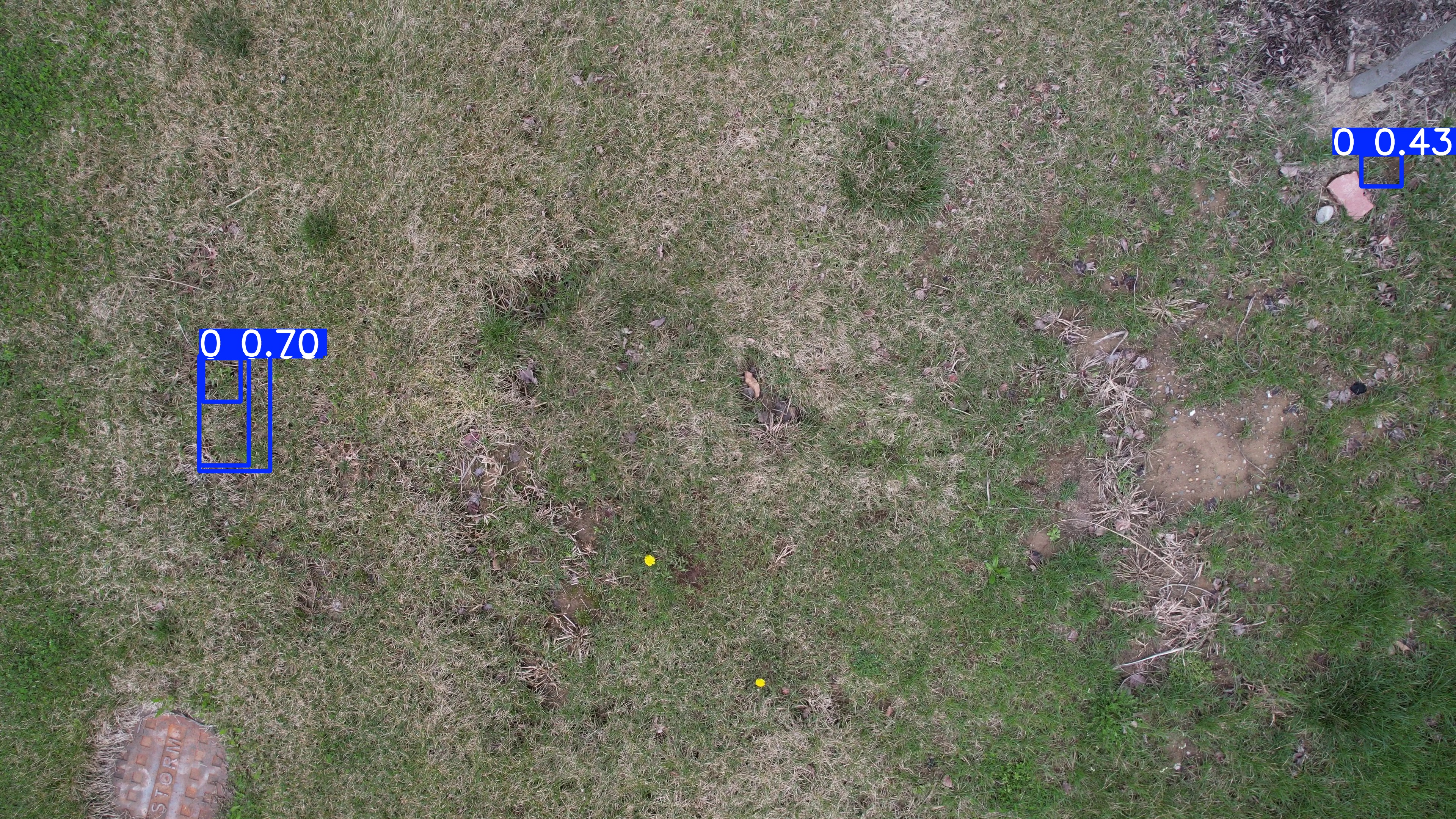 Annotated Image