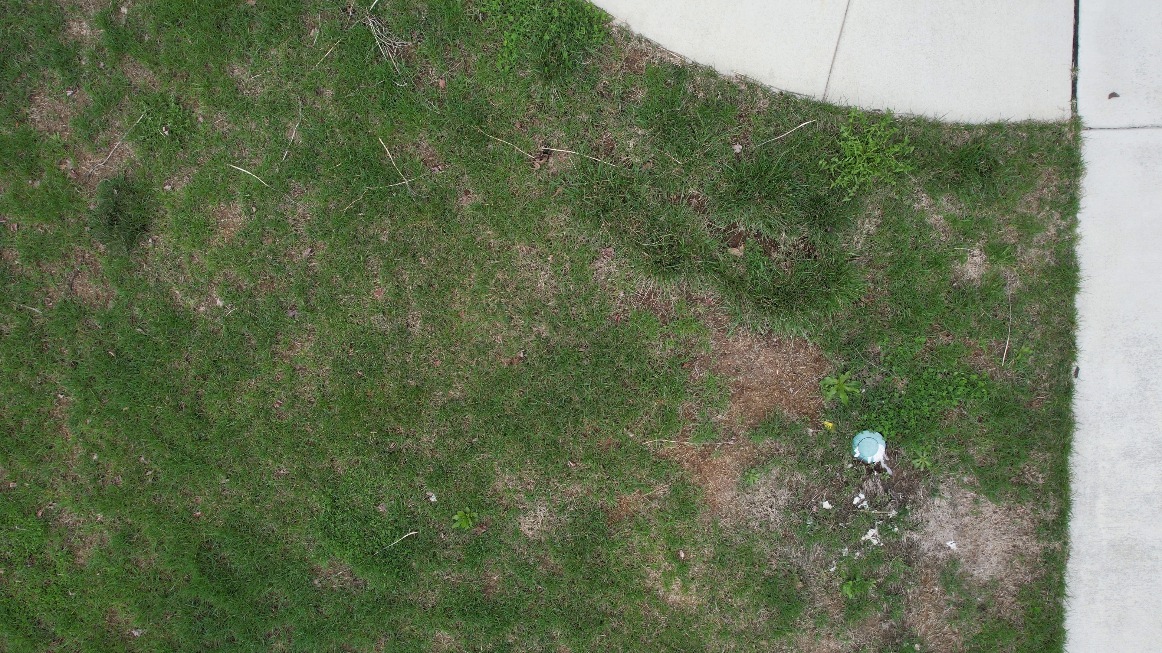 Annotated Image