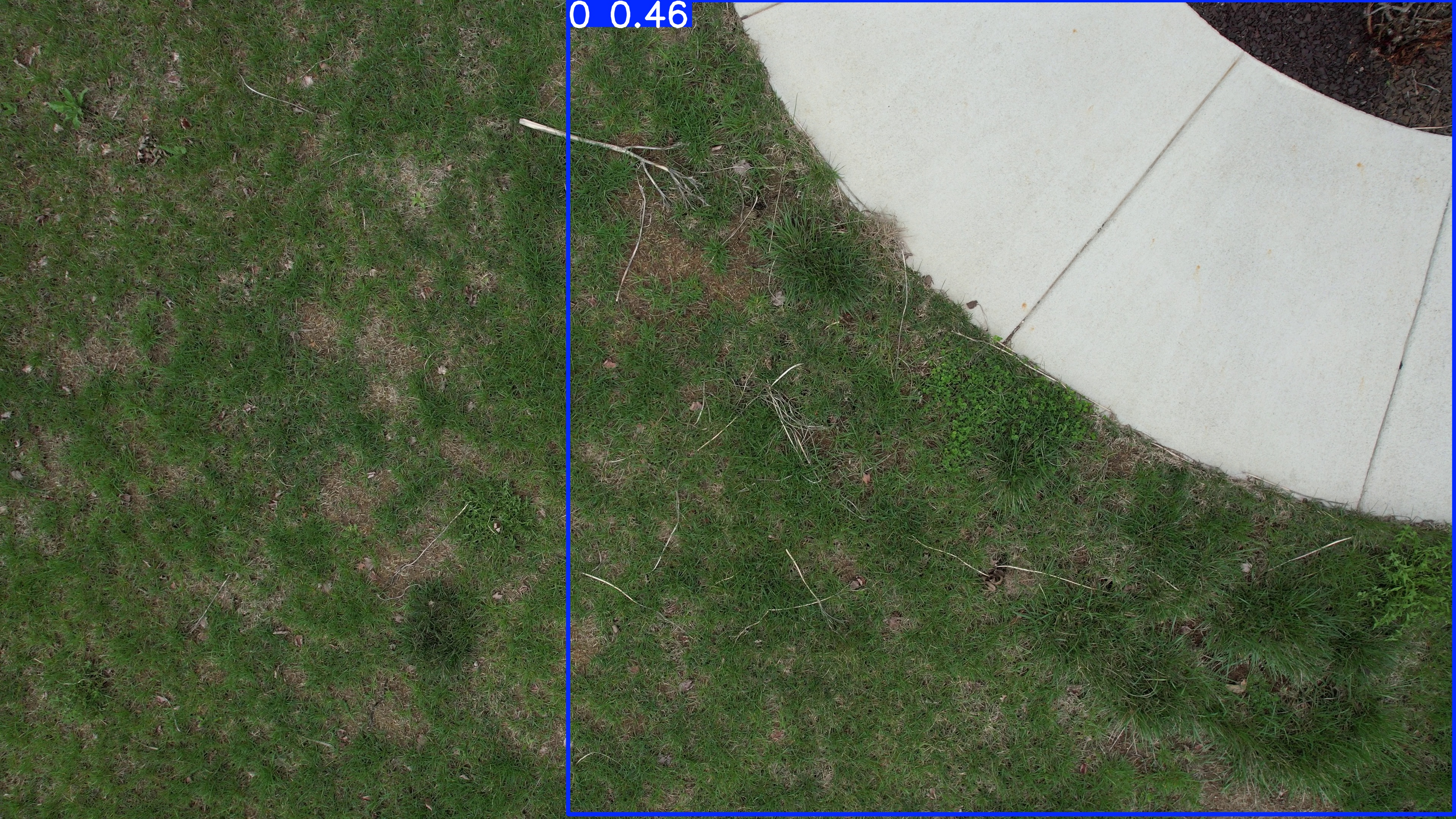 Annotated Image