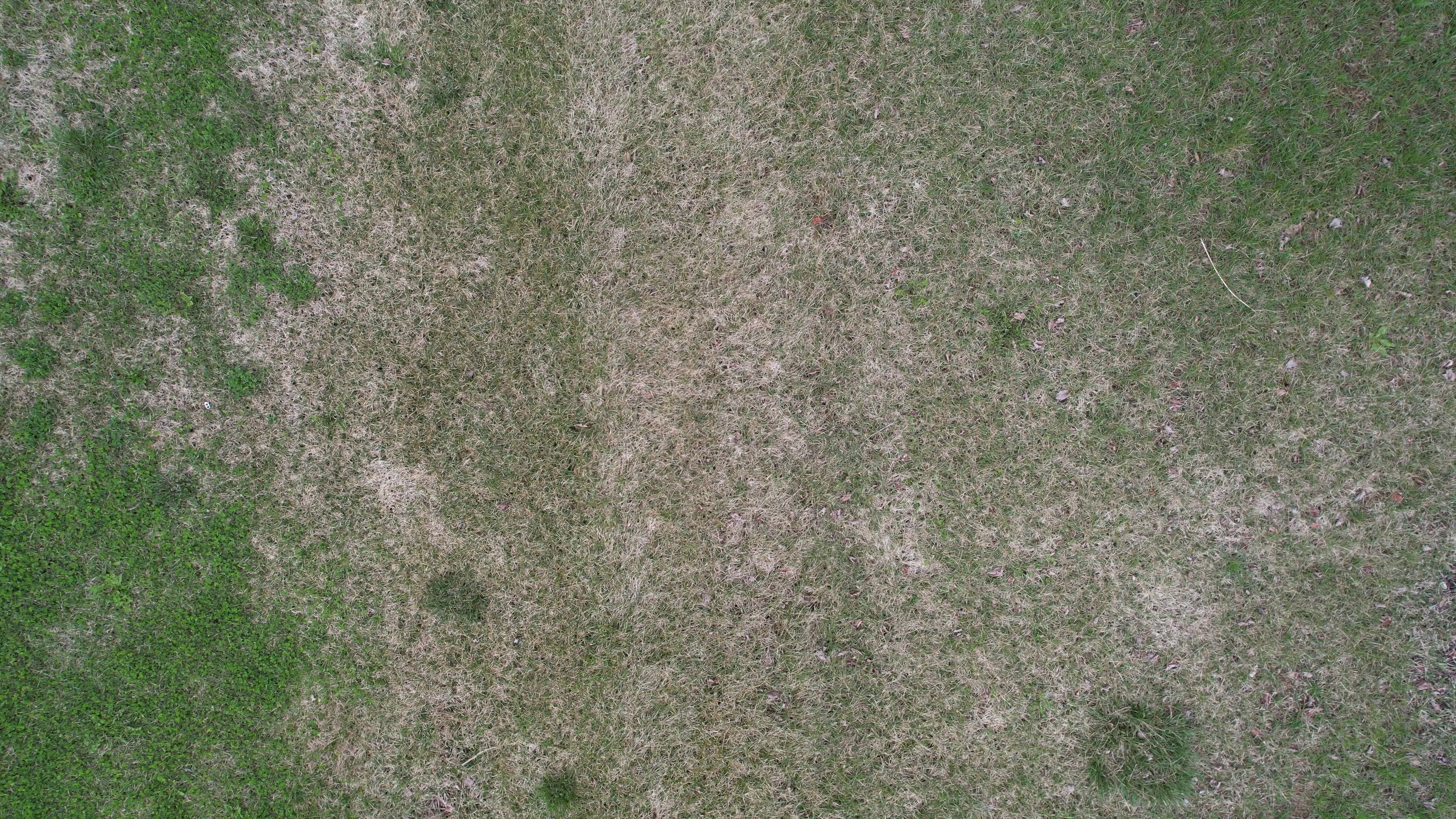 Annotated Image