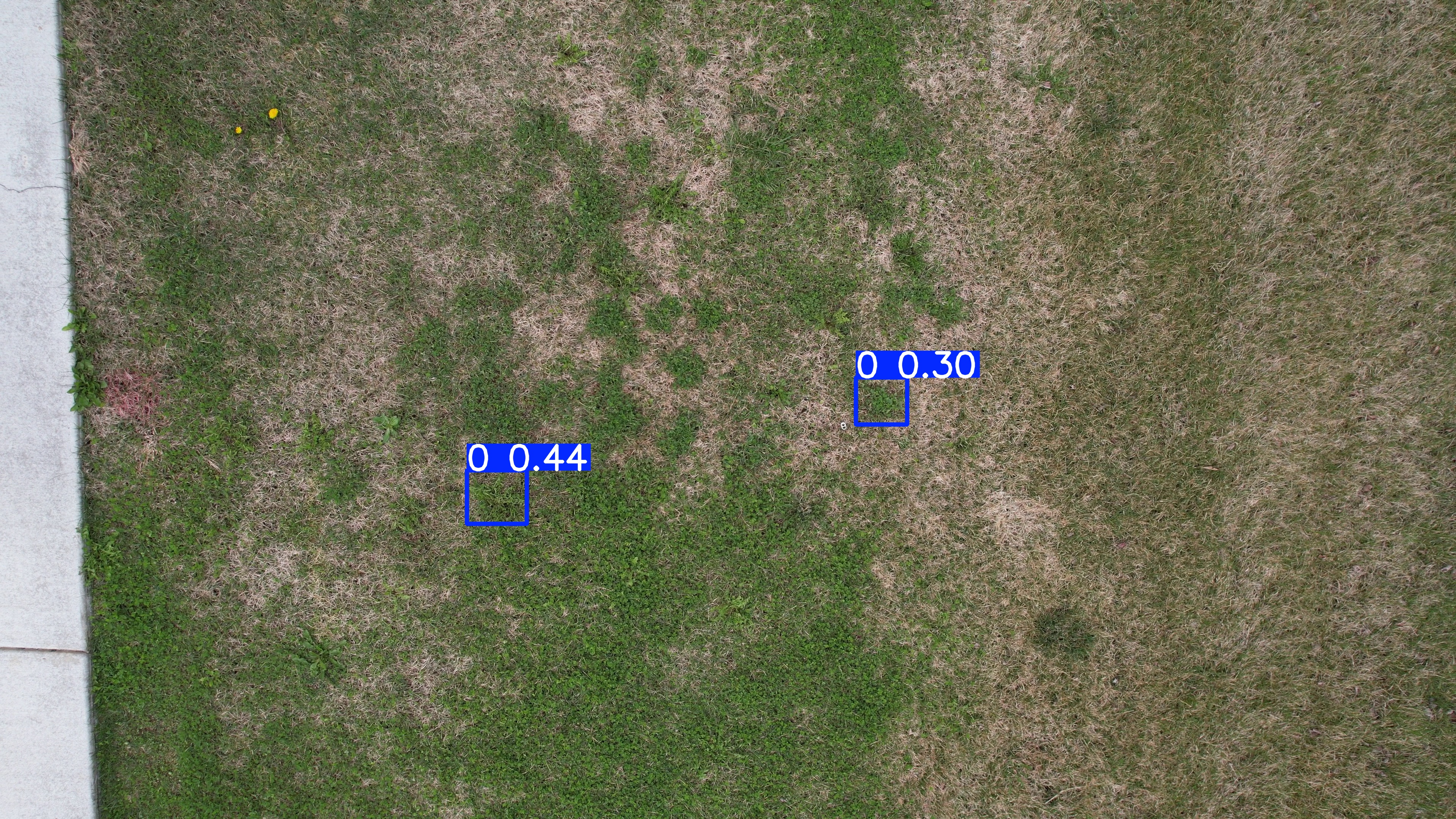 Annotated Image