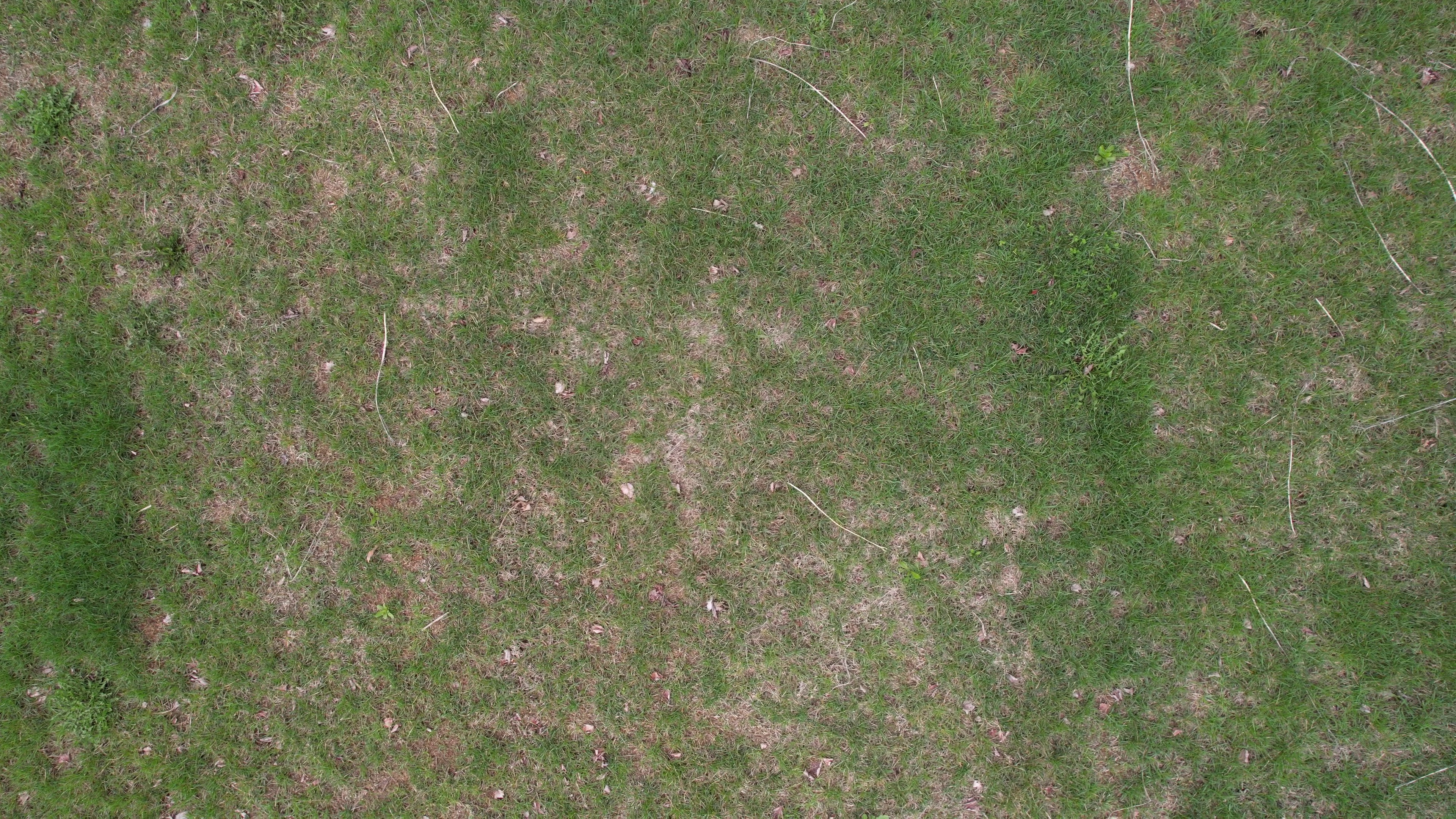 Annotated Image