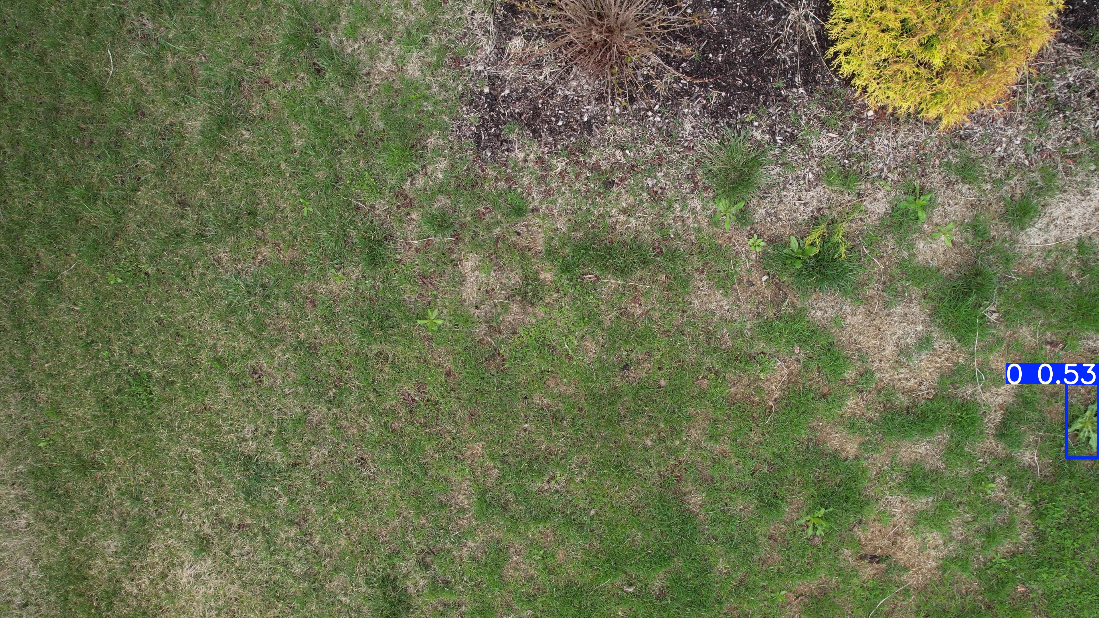 Annotated Image