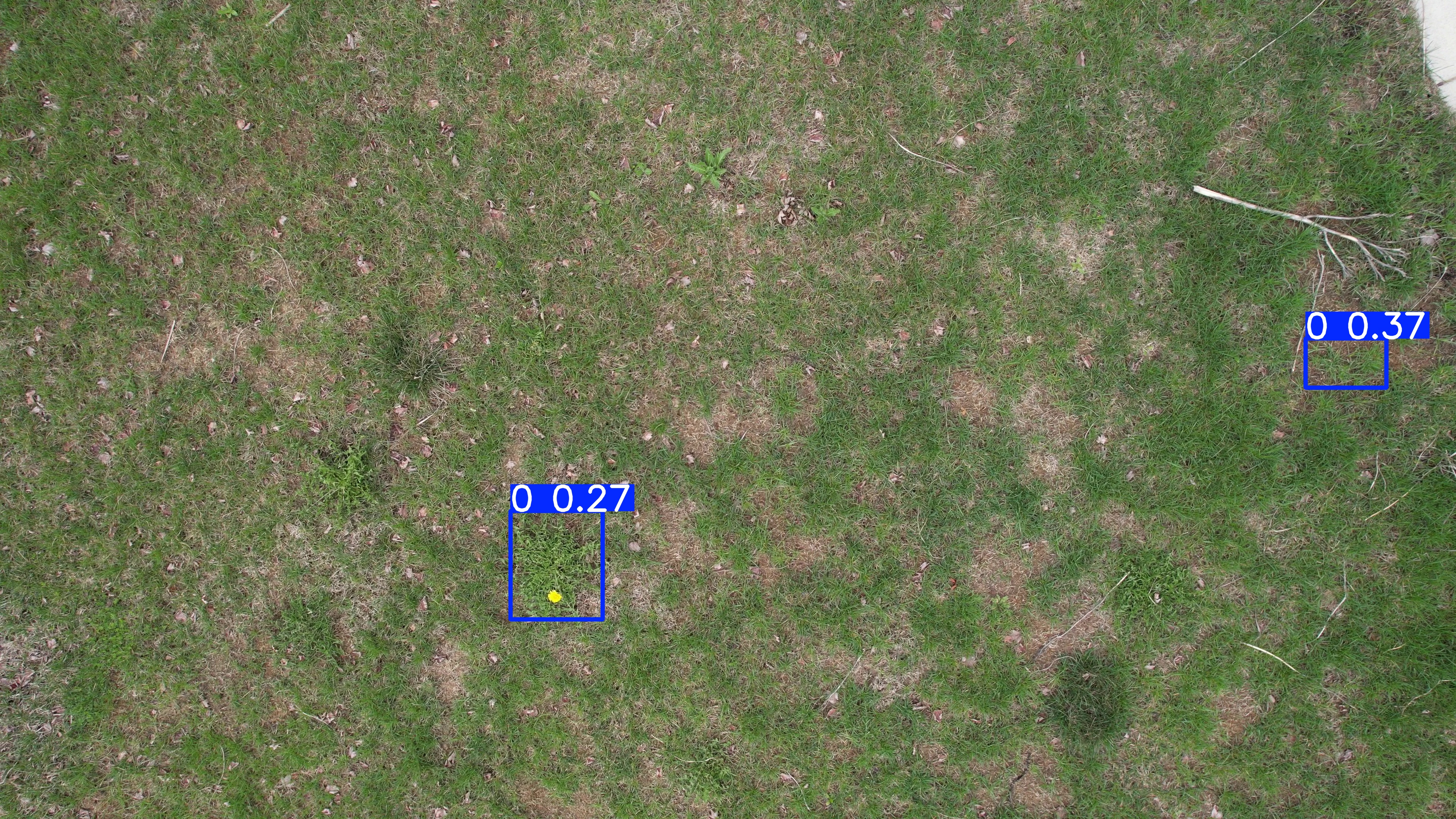Annotated Image