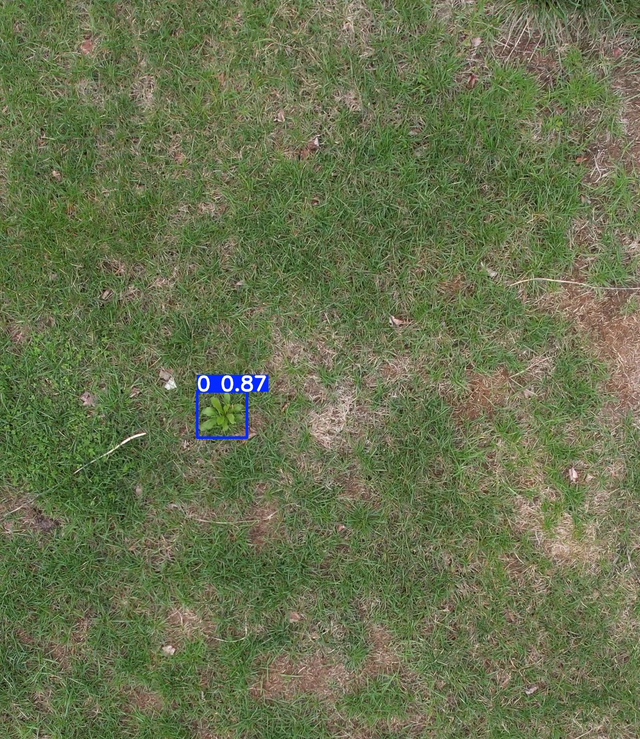 Annotated Image
