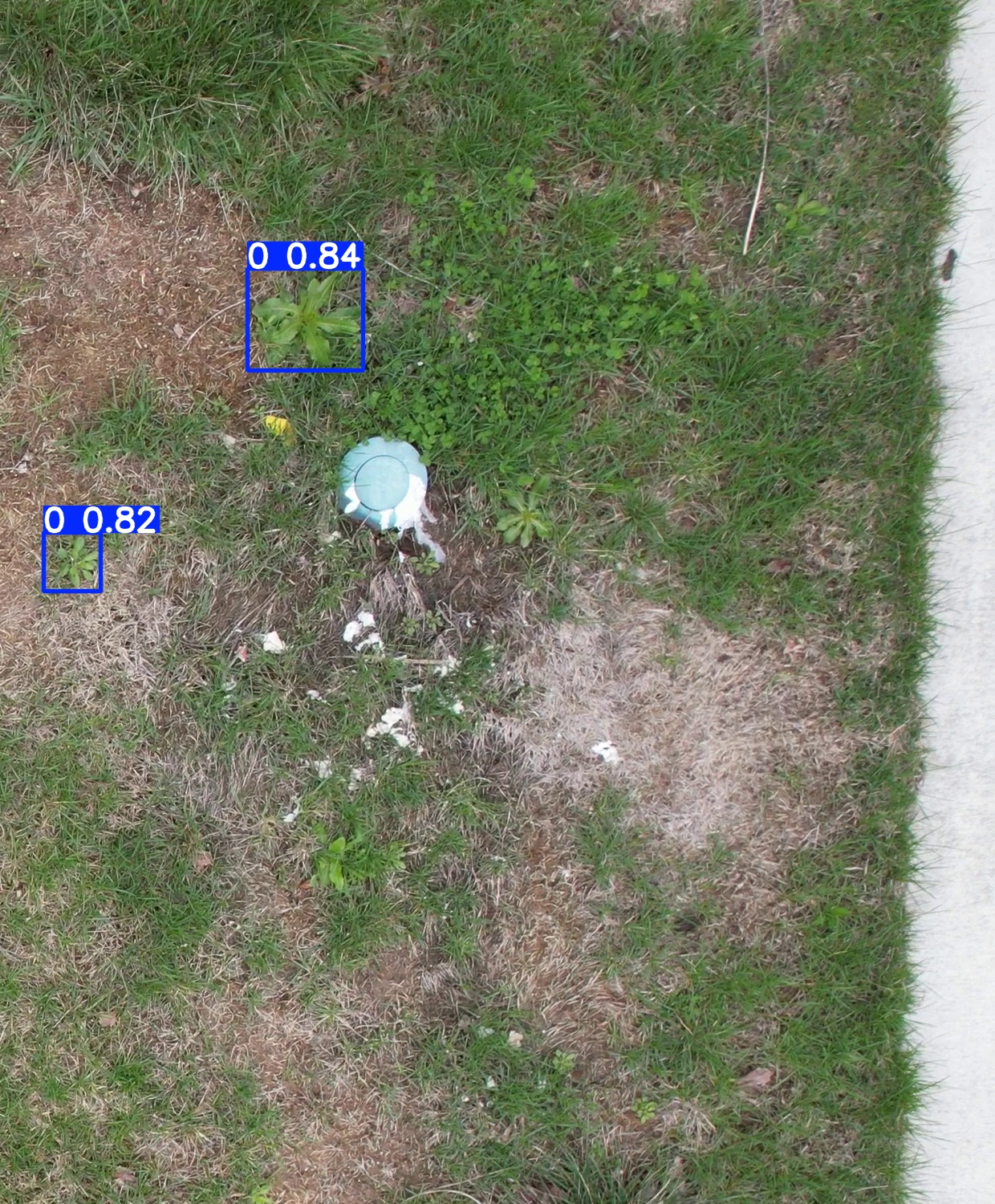 Annotated Image