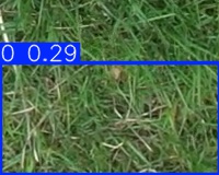 Annotated Image