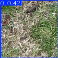 Annotated Image