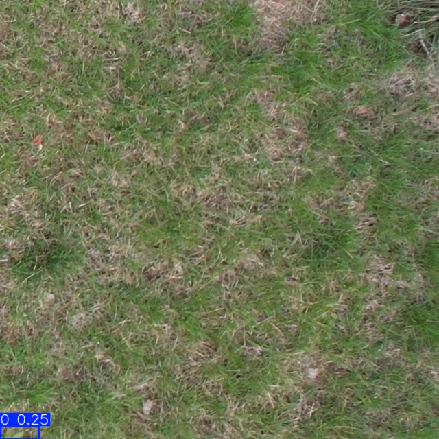 Annotated Image