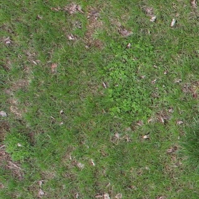 Annotated Image