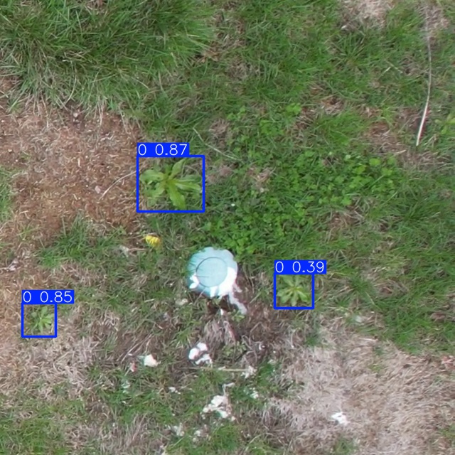 Annotated Image