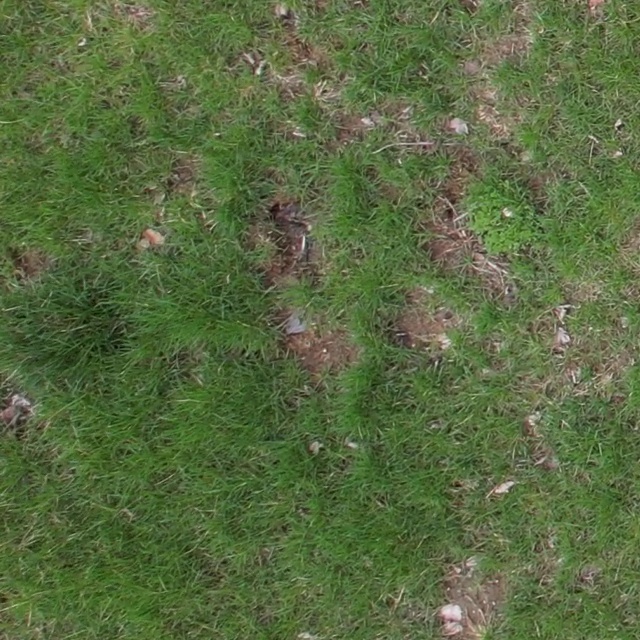 Annotated Image