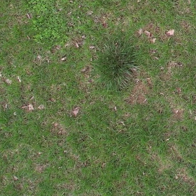 Annotated Image