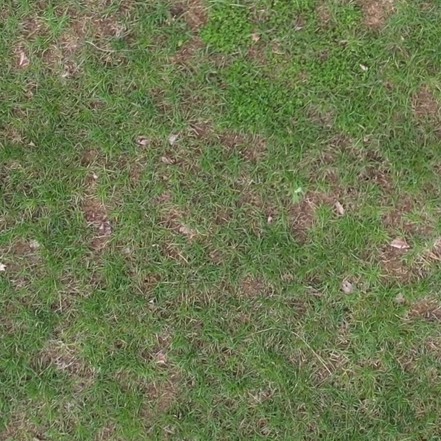 Annotated Image