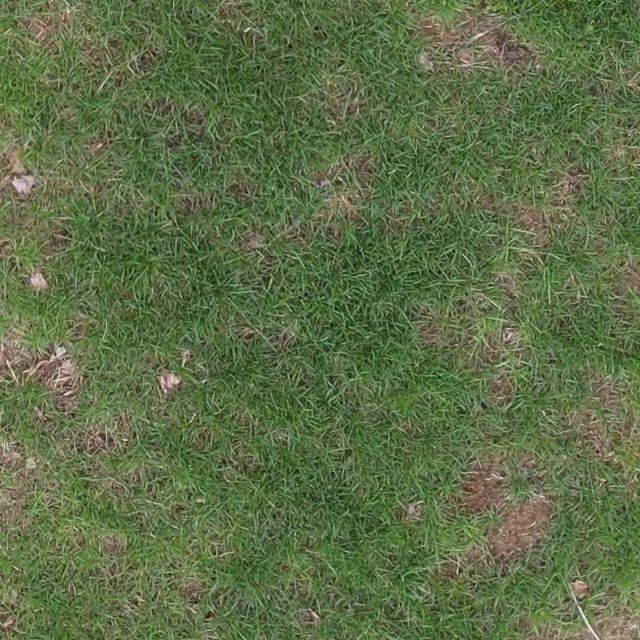 Annotated Image
