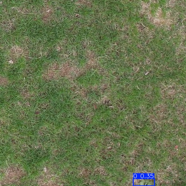 Annotated Image