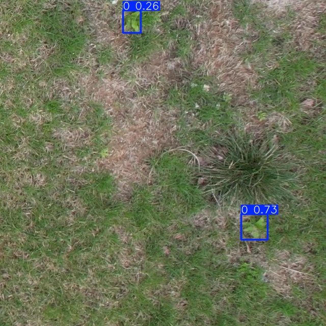 Annotated Image