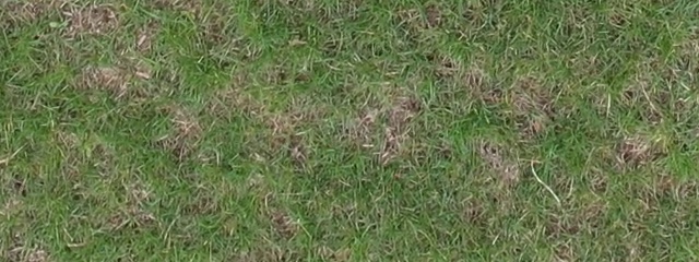 Annotated Image