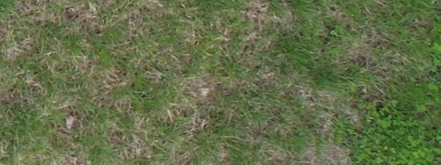 Annotated Image