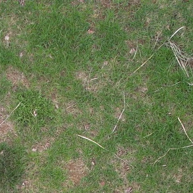 Annotated Image