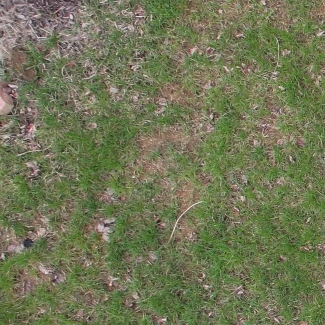 Annotated Image
