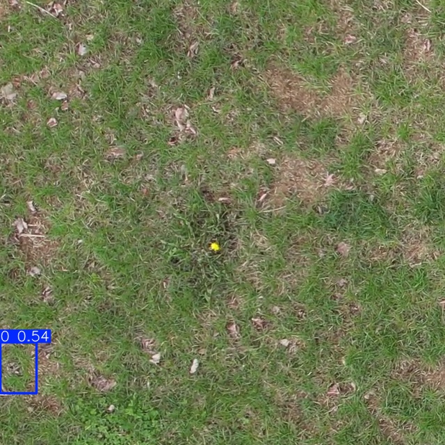 Annotated Image