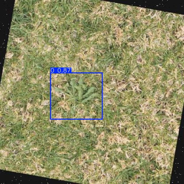 Annotated Image