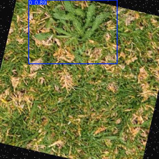 Annotated Image