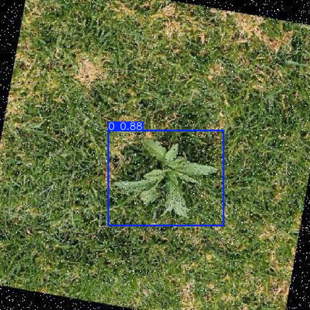 Annotated Image